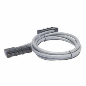 Data Distribution Cable - Cat 5e - UTP - CMR - 6xRJ-45 Jack To 6xRJ-45 Jack - 10m - Grey