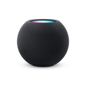 Homepod Mini Space Gray