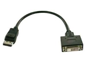 DisplayPort / DVI Adapter Cable