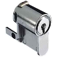 Locks For Enclosures