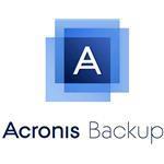 Cyber Backup Standard Windows Server Essentials - Subscription License Renewal - Multilingual - 2 Years