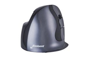 Wireless D Mouse - Small