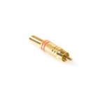 Tulp Connector Metaal Verguld Male. Kleur: Red