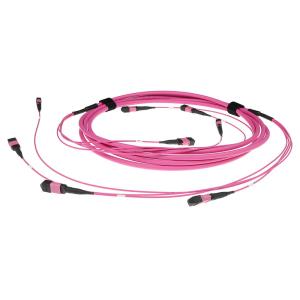 Fiber Trunk Cable - 4 MTP/MPO Female Connectors - Multimode 50/125 OM4(OM3) Polarity A- 7m - Erika Violet