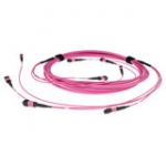 Fiber Trunk Cable - 4 MTP/MPO Female Connectors - Multimode 50/125 OM4(OM3) Polarity A- 35m - Erika Violet
