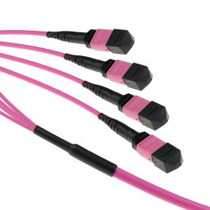 Fiber Trunk Cable - 4 MTP/MPO Female Connectors - Multimode 50/125 OM4(OM3) Polarity B - 7m - Erika Violet