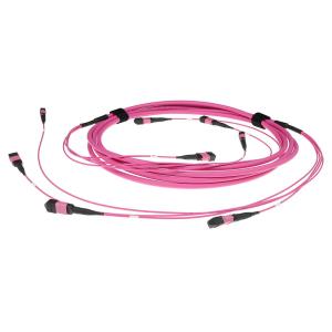 Fiber Trunk Cable - 4 MTP/MPO Female Connectors - Multimode 50/125 OM4(OM3) Polarity B - 30m - Erika Violet