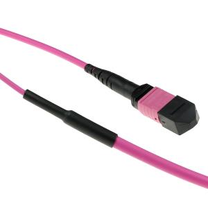 Fiber Trunk Cable - MTP/MPO Female Connectors - Multimode 50/125 OM4(OM3) Polarity A - 30m - Erika Violet