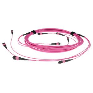 Fiber Trunk Cable - 2 MTP/MPO Female Connector - Multimode 50/125 OM4(OM3) Polarity B - 15m - Erika Violet